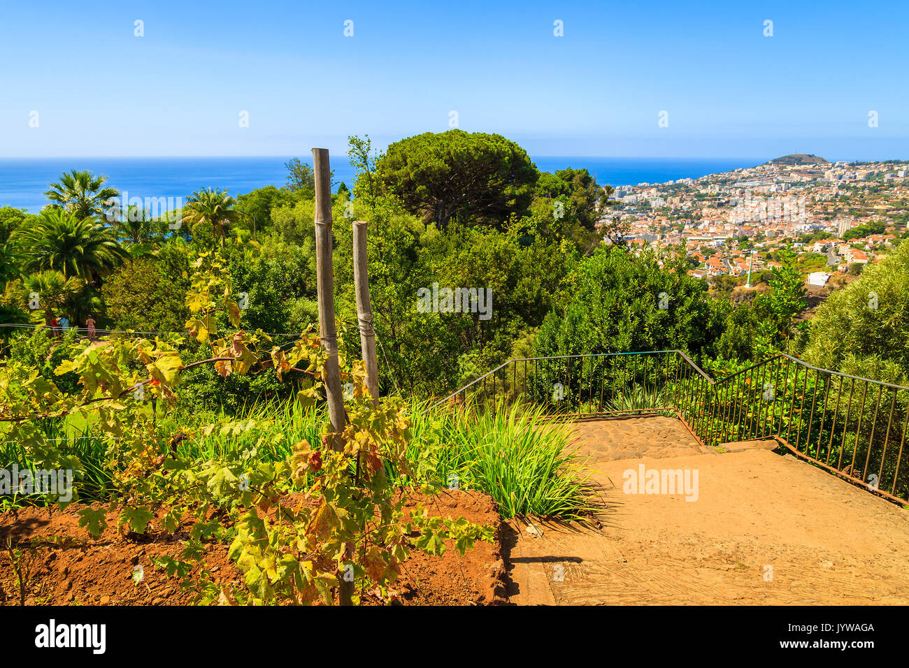 Pfad in botanischen Gärten von Funchal, Madeira, Portugal Stockfoto