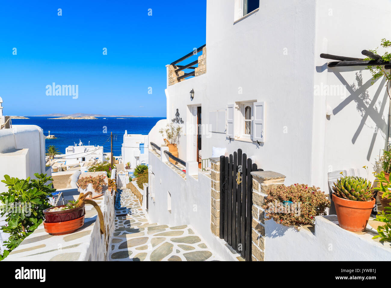 Ein Blick auf die engen Gang mit weissen Häusern mit Blumen in der schönen Stadt Mykonos, Kykladen, Griechenland Stockfoto