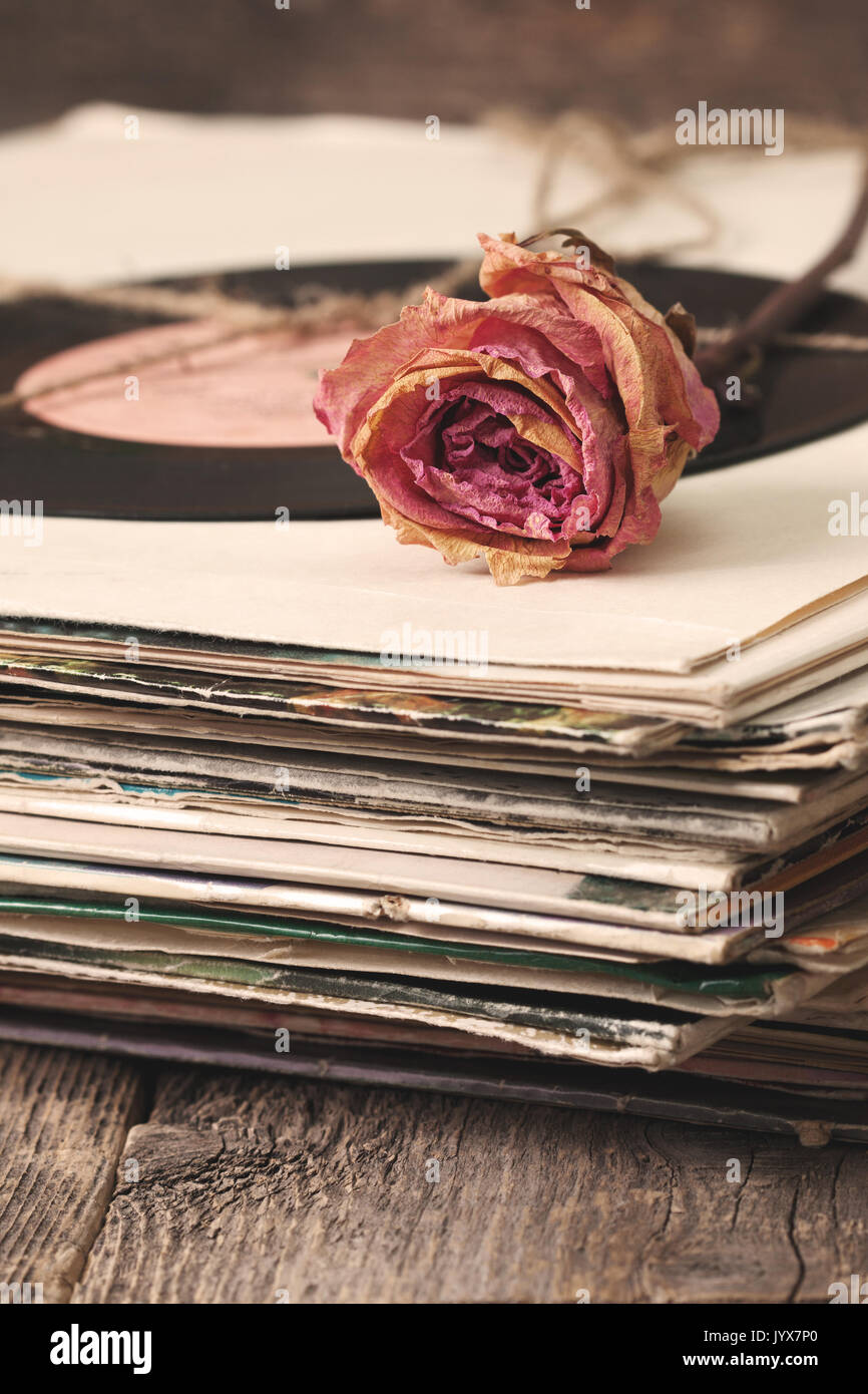 trockener Rose auf einem Stapel von alten Vinyl-Schallplatten im Vintage-Stil Stockfoto