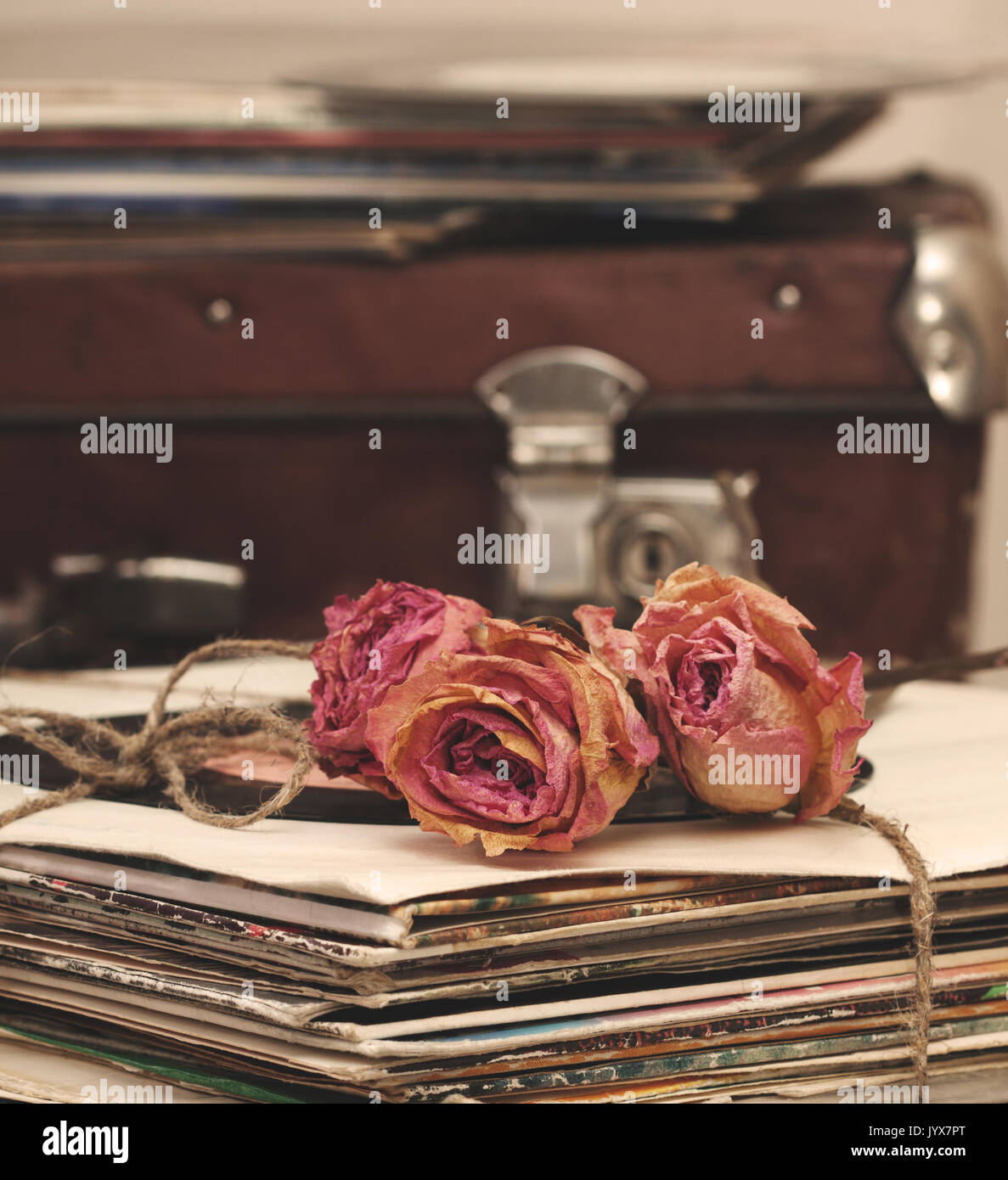 trockener Rose auf einem Stapel von alten Vinyl-Schallplatten im Vintage-Stil Stockfoto