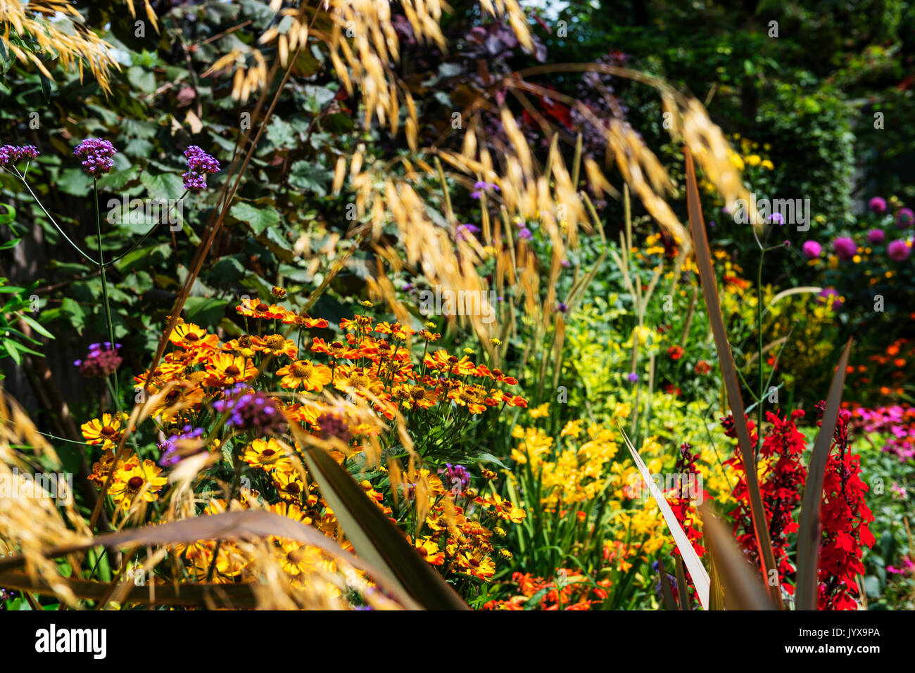 Bunte, besetzt krautigen Blume Grenze, überfüllt. Stockfoto