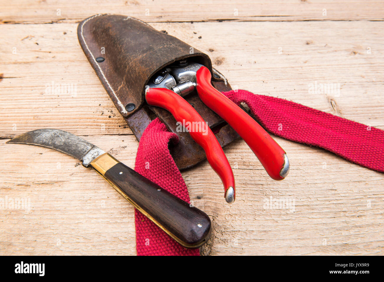 Gartenschere in Leder Holster neben einer Beschneidung Messer auf einer Holzbank. Stockfoto
