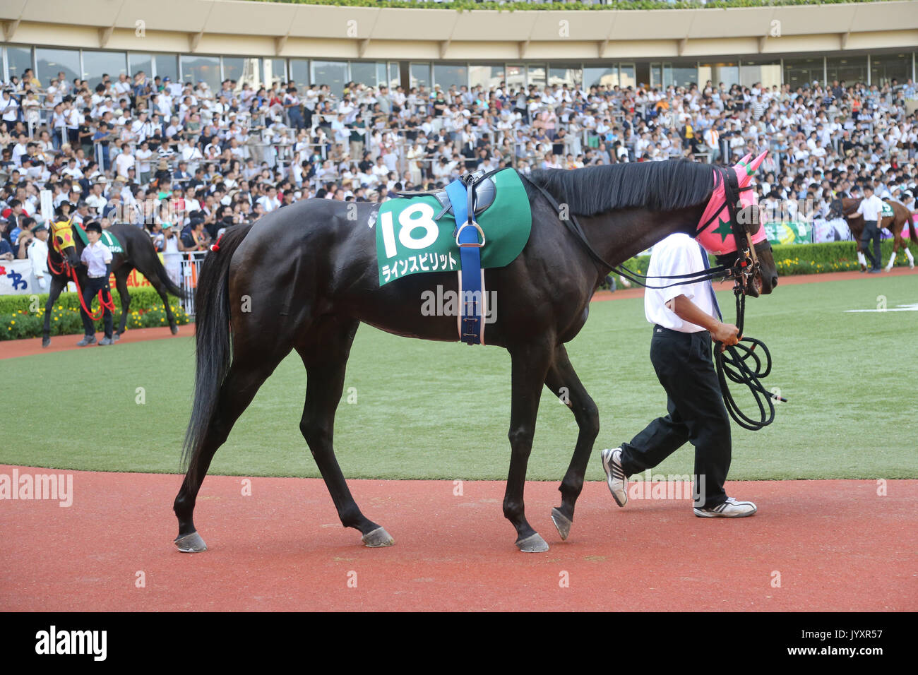 Fukuoka, Japan. 20 Aug, 2017. Rhein Geist Pferderennen: Rhein Geist ist durch das Fahrerlager led vor dem TV Nishinippon Corp. Sho Kitakyushu Kinen in Kokura Racecourse in Fukuoka, Japan. Credit: Eiichi Yamane/LBA/Alamy leben Nachrichten Stockfoto