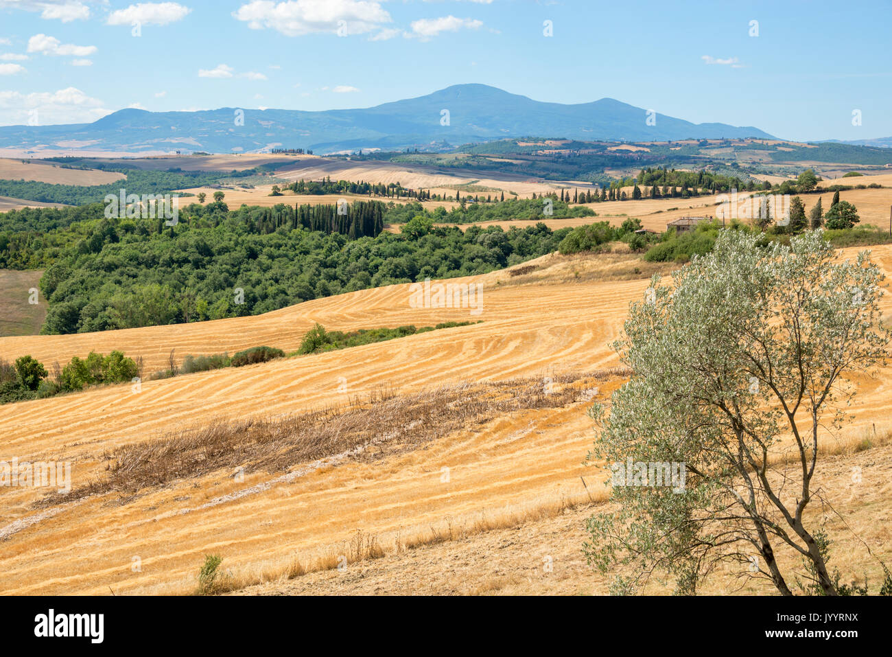 Toskana Landschaft im Sommer, nach der Ernte, Italien Stockfoto