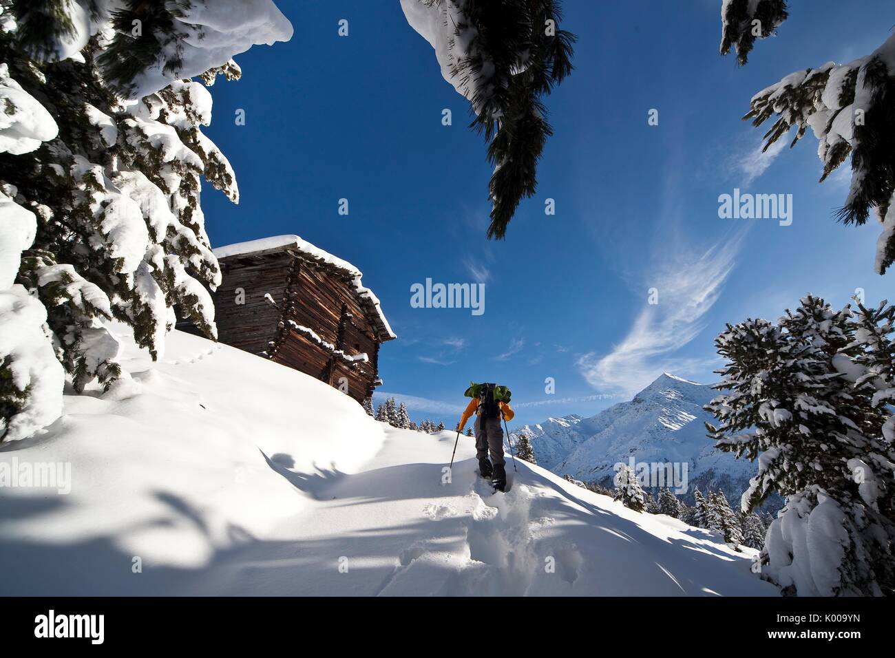 Wanderer gesegnet mit Schneeschuhen Fortschritte im frischen Schnee in Baite Ables. Valfurva, Valtellina, Lombardei, Italien. Stockfoto