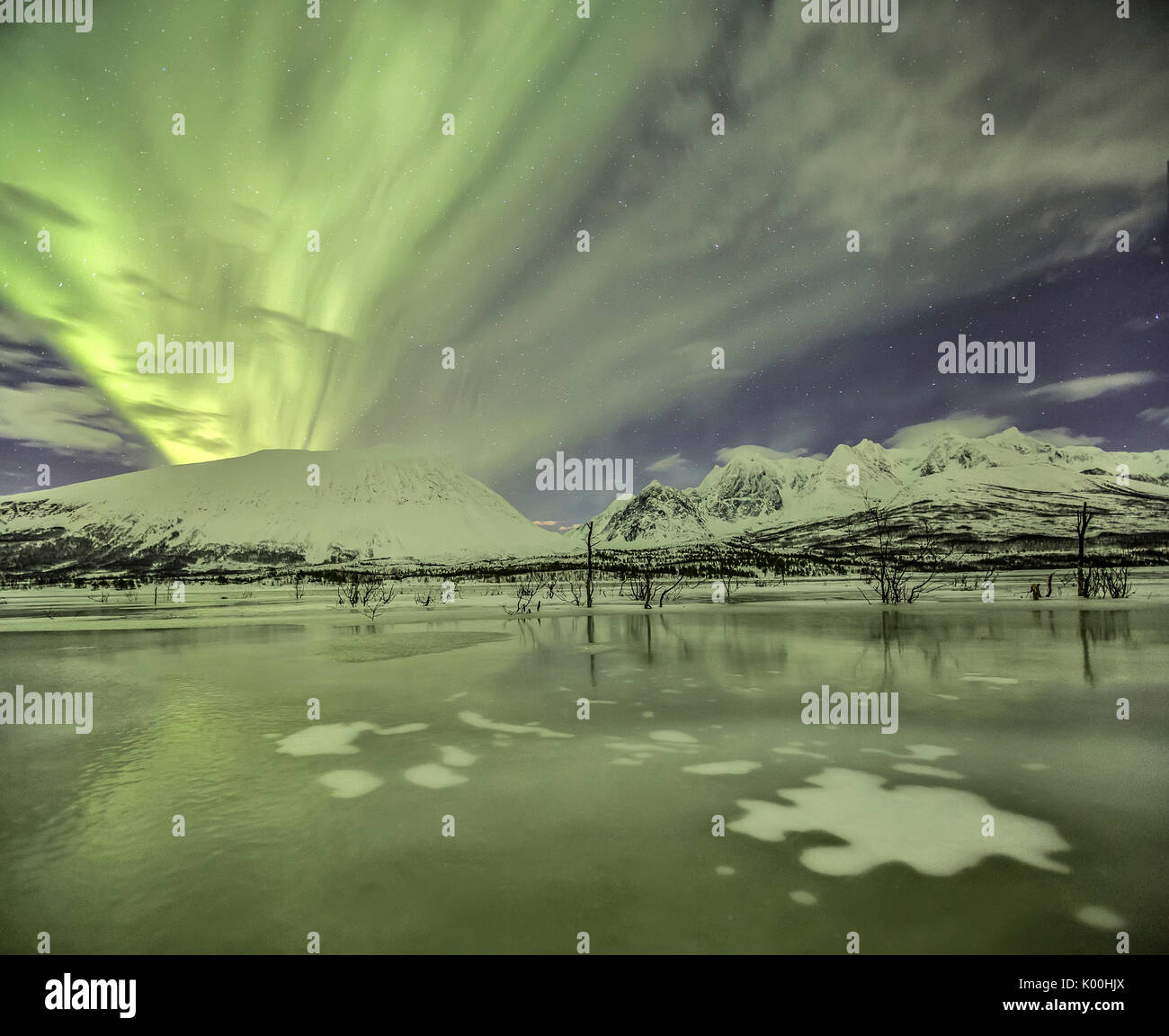 Aurora Borealis auf die gefrorenen Lagune Jaegervatnet Stortind Lyngen Alpen Tromsø Lappland Norwegen Europas Stockfoto