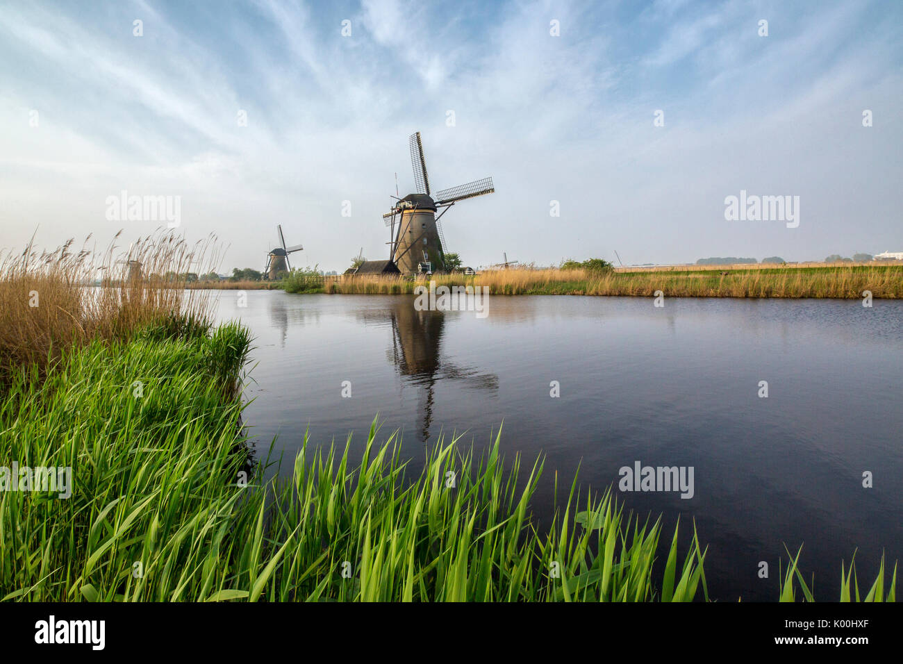 Grünen Rasen umrahmt die Windmühlen spiegelt sich in den Kanal Kinderdijk Rotterdam Zuid-Holland-Niederlande-Europa Stockfoto