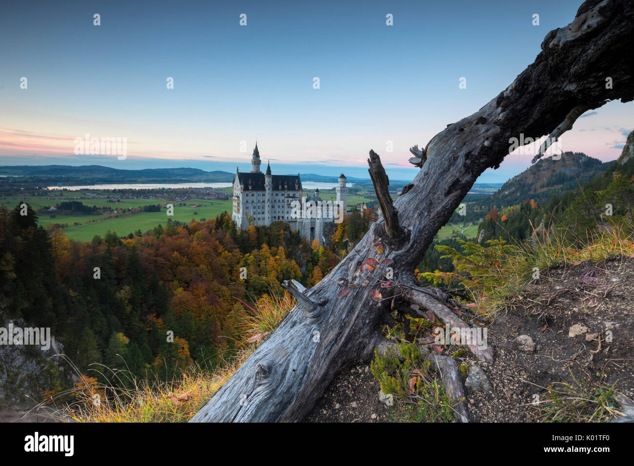 Dämmerung leuchtet auf Schloss Neuschwanstein durch bunte Wälder im Herbst Füssen Bayern Deutschland Europa umgeben Stockfoto
