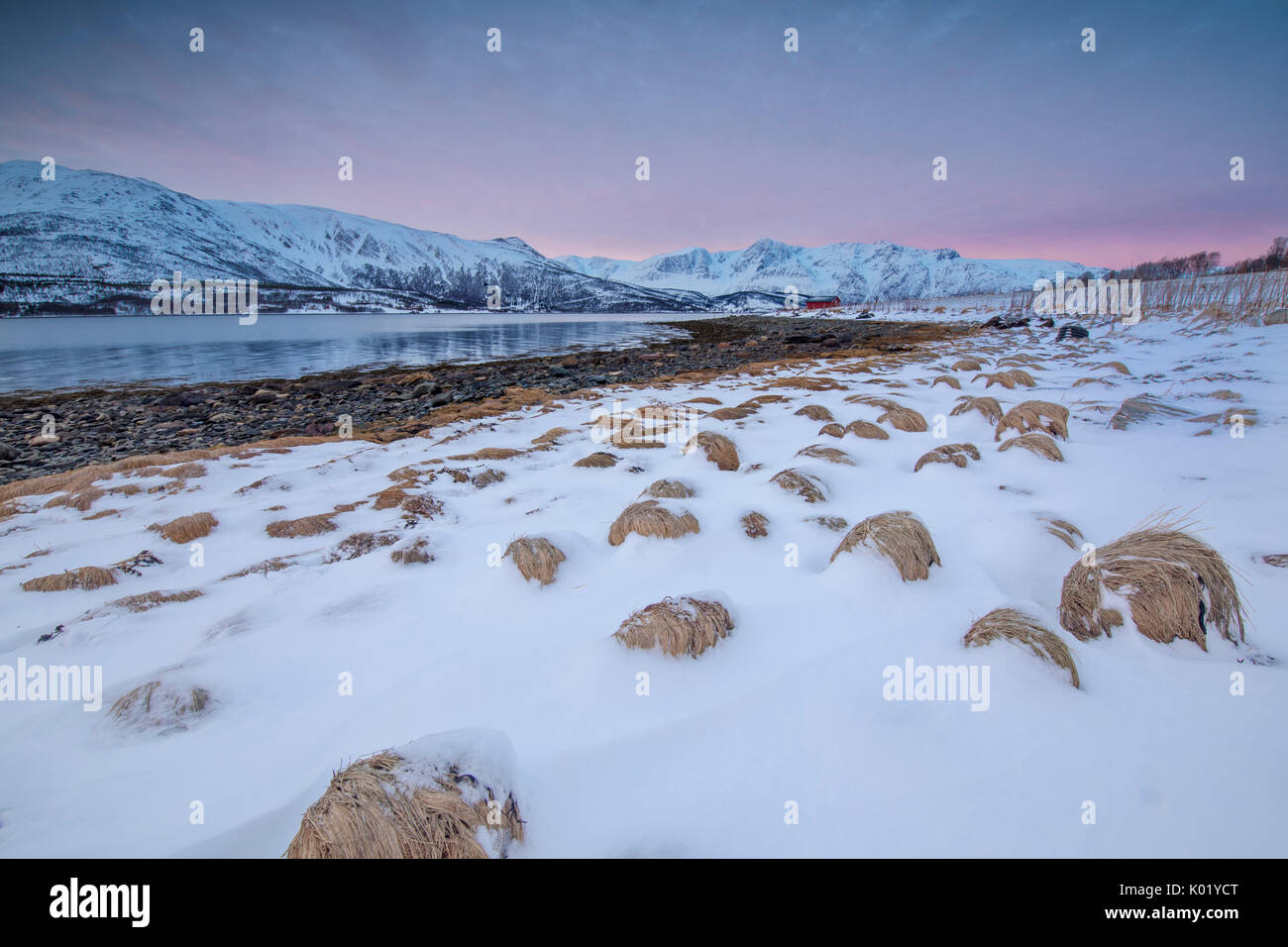 Panorama der rosa Himmel im Morgengrauen auf Schneefelder und Holzhütte, umgeben von gefrorenen Meer Svensby Lyngen Alpen Tromsø Norwegen Europa Stockfoto