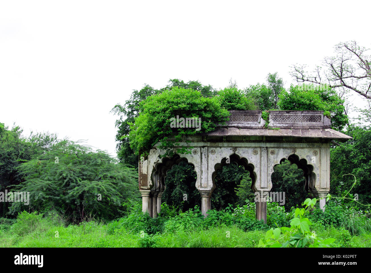 Naturfotografie Stockfoto