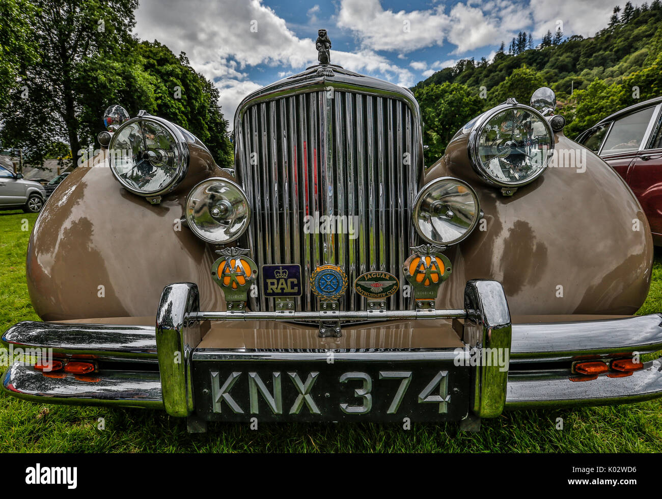 Alten Jaguar mit großen Chrom Grill und grossen Scheinwerfer. Light Brown classic Jaguar geparkt. KNX 374 an öffentlichen zeigen North Wales August 2017 Stockfoto