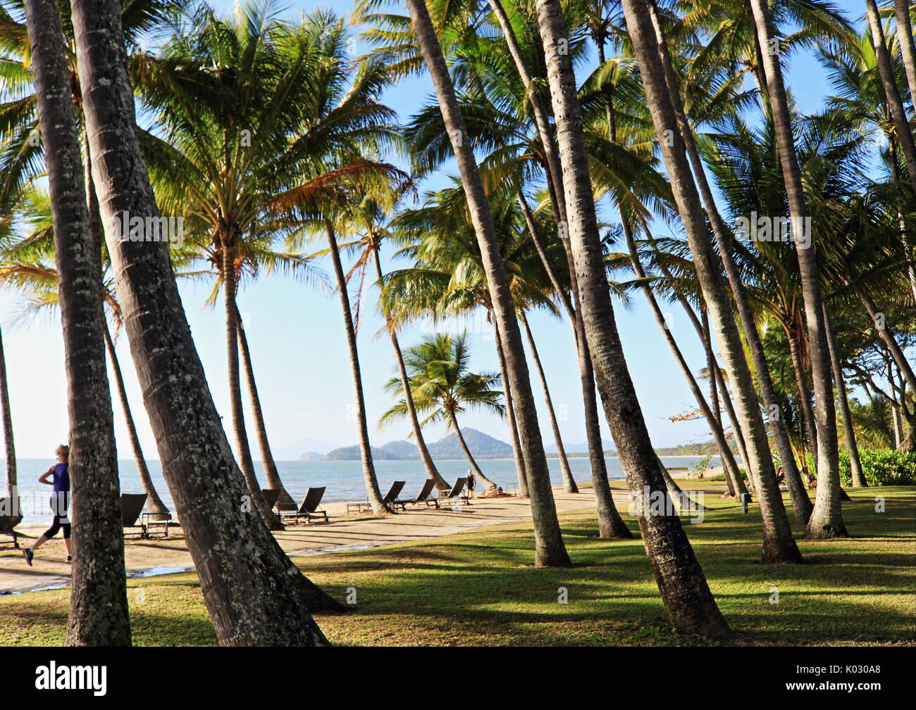 Palm Cove Beach und die idyllische Aussicht über den Palm Tree Grove Stockfoto