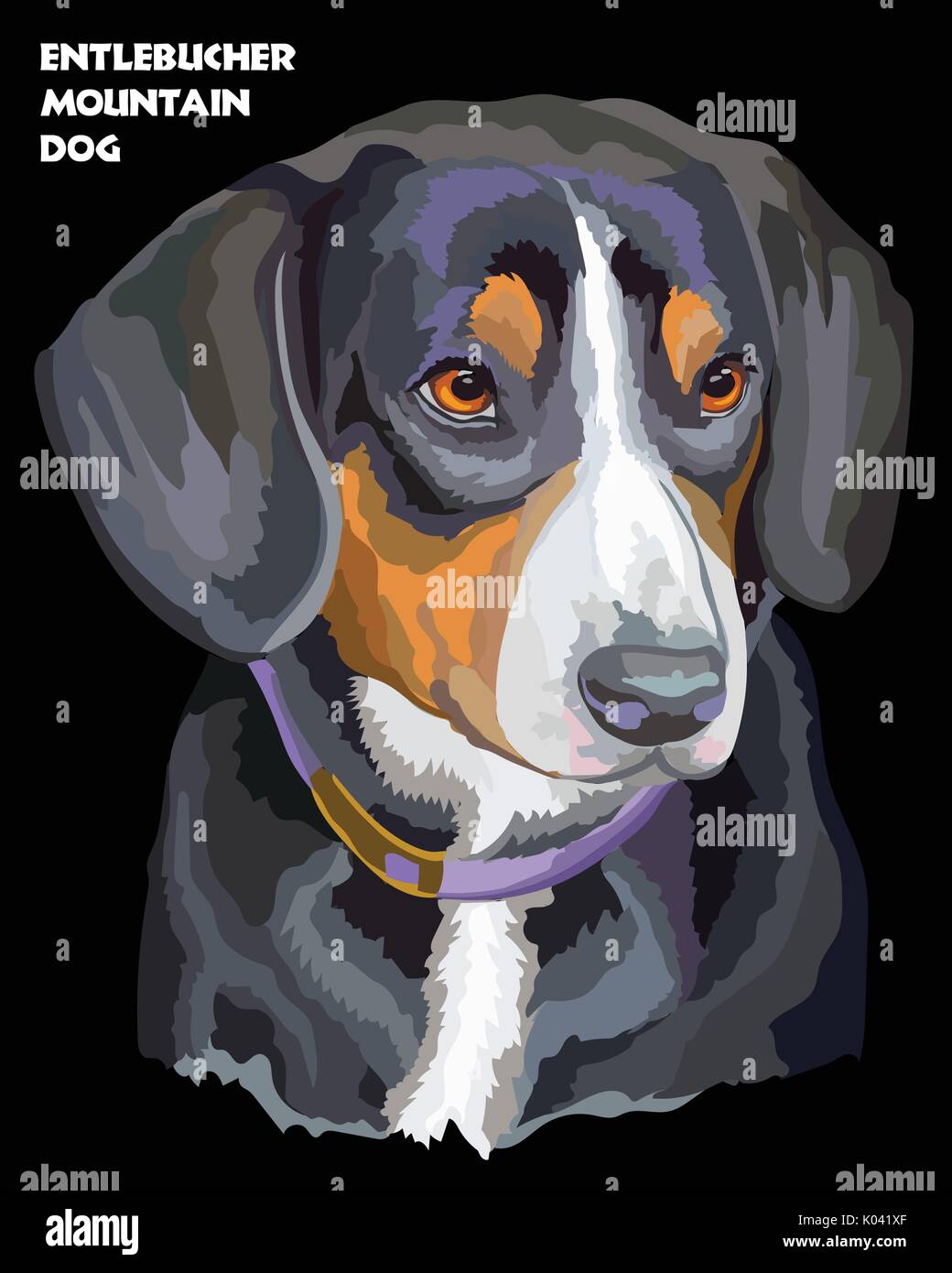 Farbige Porträt der Entlebucher Sennenhund isoliert Vector Illustration auf schwarzem Hintergrund Stock Vektor