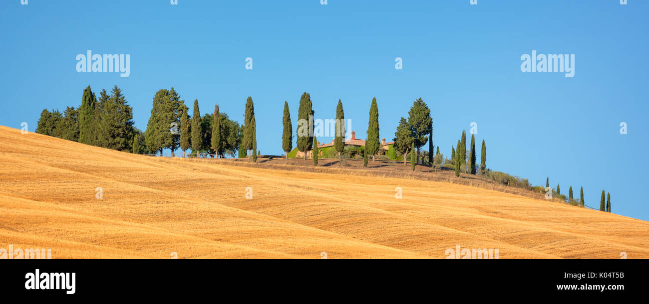 Schönen typischen Panorama Landschaft des Val d'Orcia in der Toskana mit einer Reihe von Zypressen im Sommer, Val d'Orcia, Toskana, Italien Stockfoto