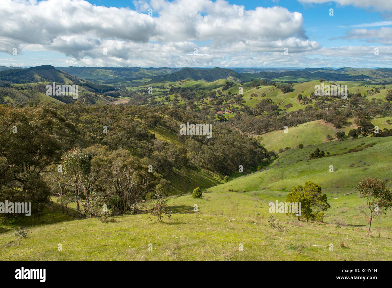 Blick von Murchison Lookout, Strath Creek, Victoria, Australien Stockfoto