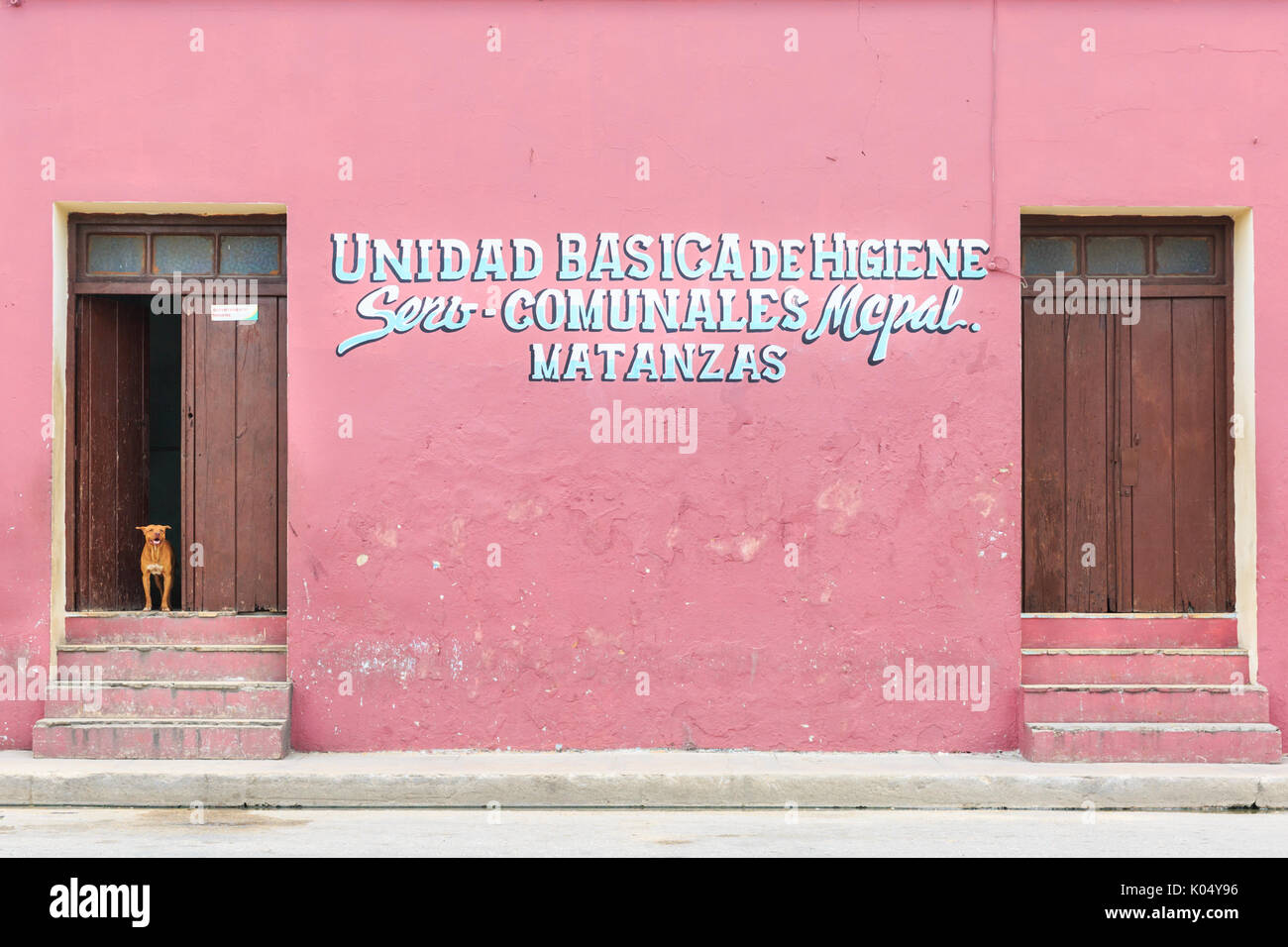 Kubanische street scene, Hunde Blick aus der Tür, Hygiene Institut Matanzas, Cuba Stockfoto