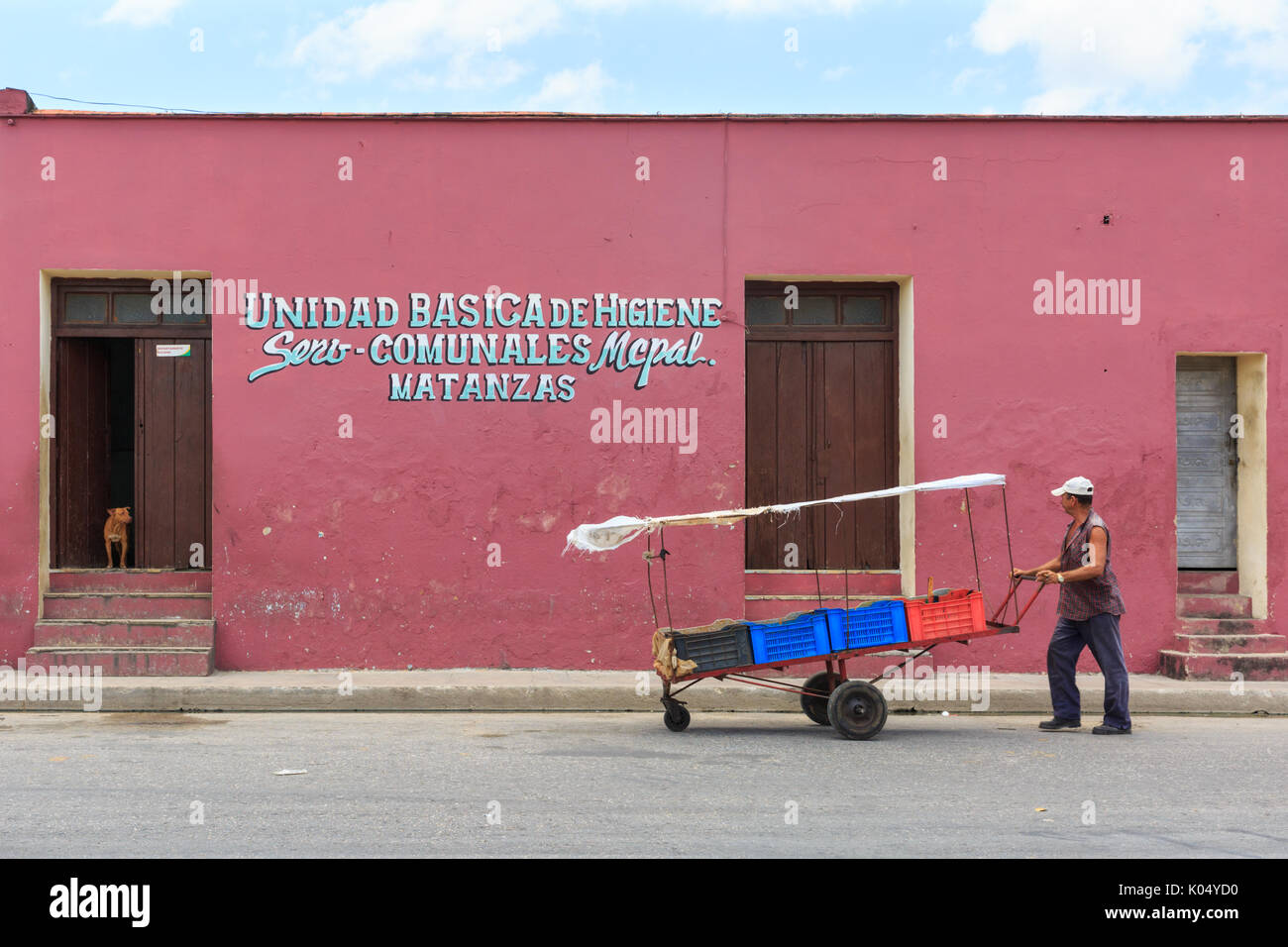 Kubanische street scene, Hunde achten Sie bei man mit Karre zu Fuß durch, Hygiene Institut Matanzas, Cuba Stockfoto