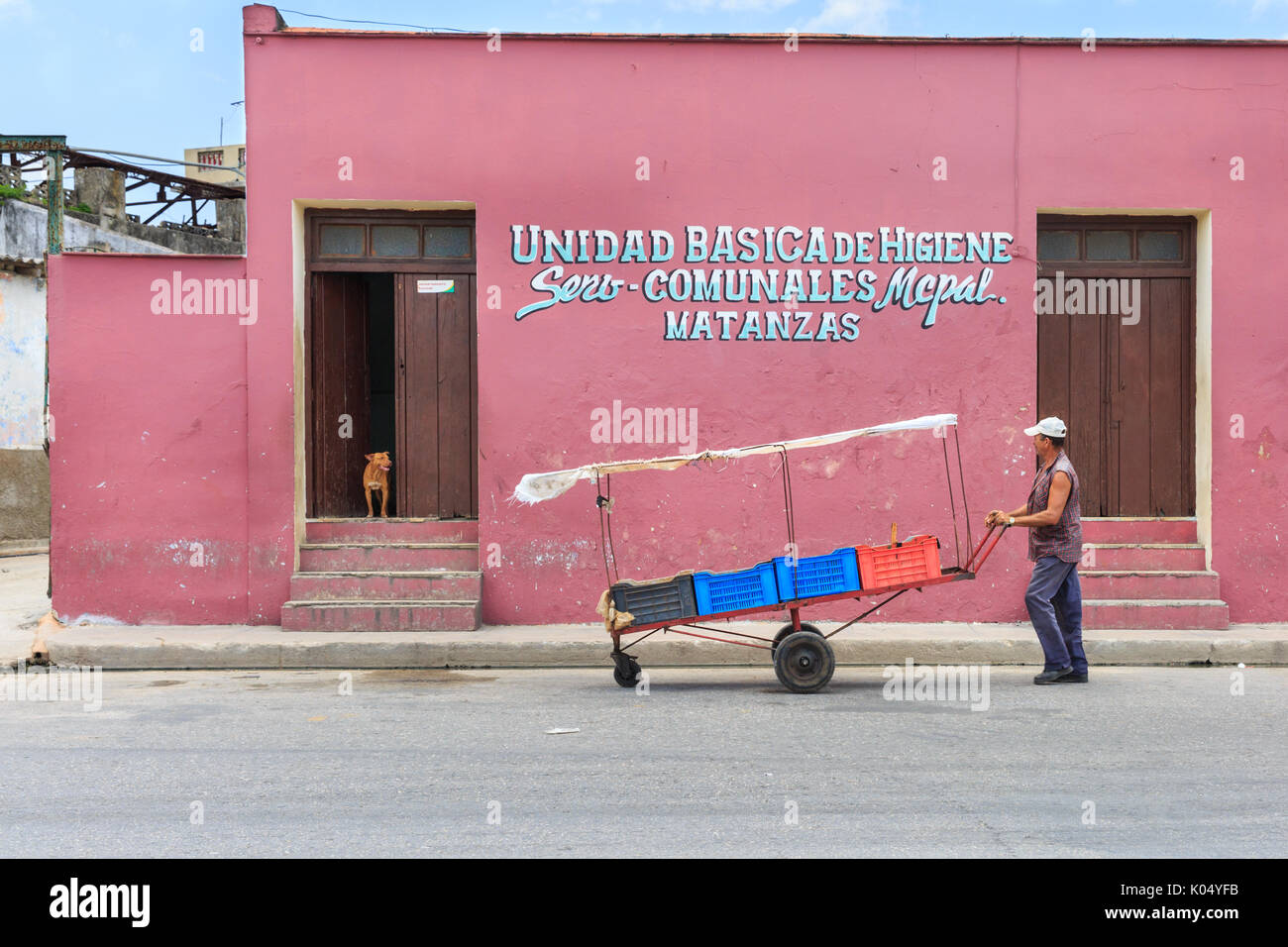 Kubanische street scene, Hunde achten Sie bei man mit Karre zu Fuß durch, Hygiene Institut Matanzas, Cuba Stockfoto