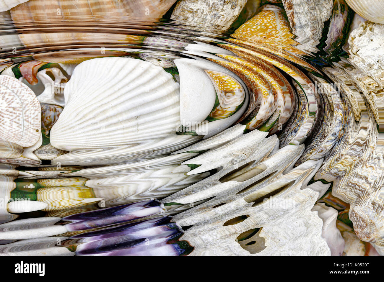 Das Wasser plätschert über Muscheln - Digital nachbearbeitet Stockfoto