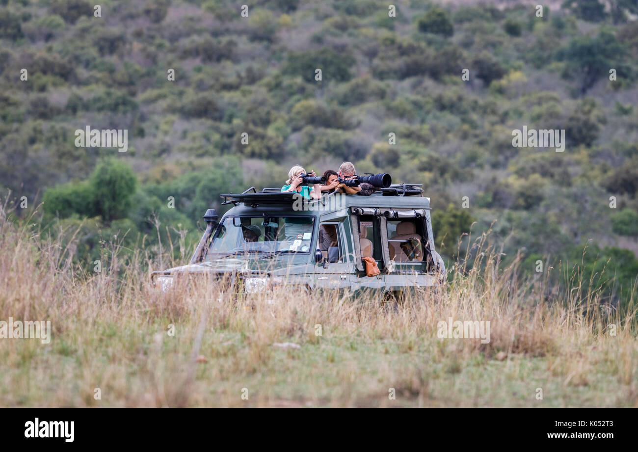Fotograf Touristen stehen Ihre Kameras und lange Teleobjektive auf die Tierwelt aus einer typischen offenen Jeep Safari in die Masai Mara, Kenia zu trainieren Stockfoto