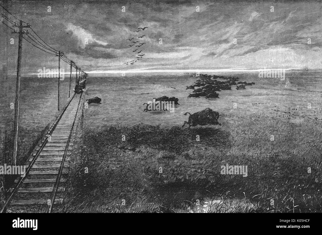 Telegrafenleitungen entlang einer Eisenbahnlinie, der Überquerung der amerikanischen Great Plains. Datum: ca. 1880 Stockfoto