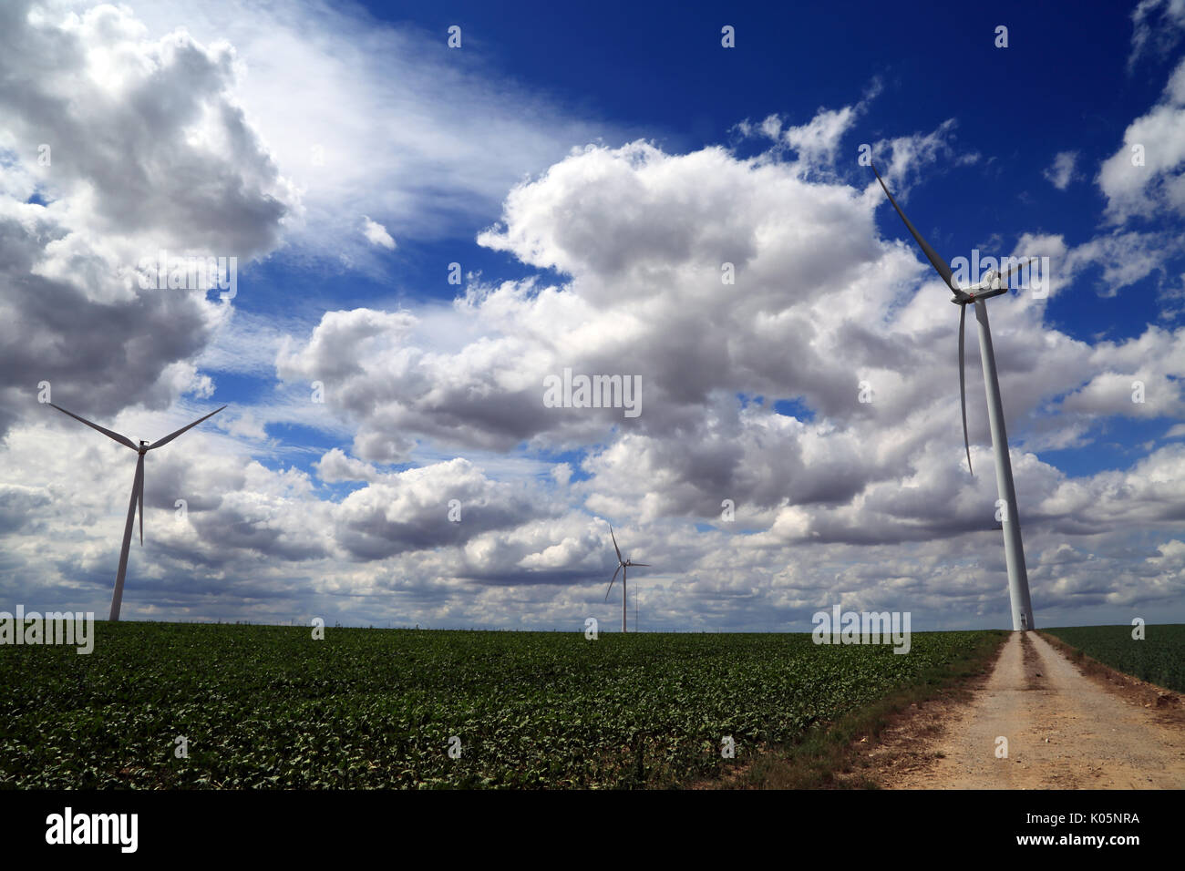 Windenergieanlagen in den Feldern auf der D933 in der Nähe von prouville und Montigny les Jongleurs, Somme, Hauts-de-France Stockfoto