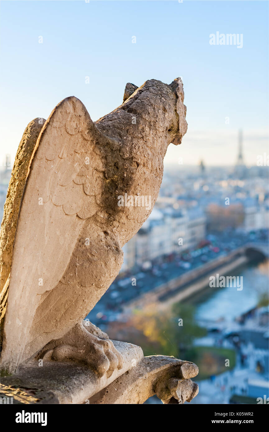 Gargoyle mit Flügeln an der Skyline von Paris suchen Stockfoto