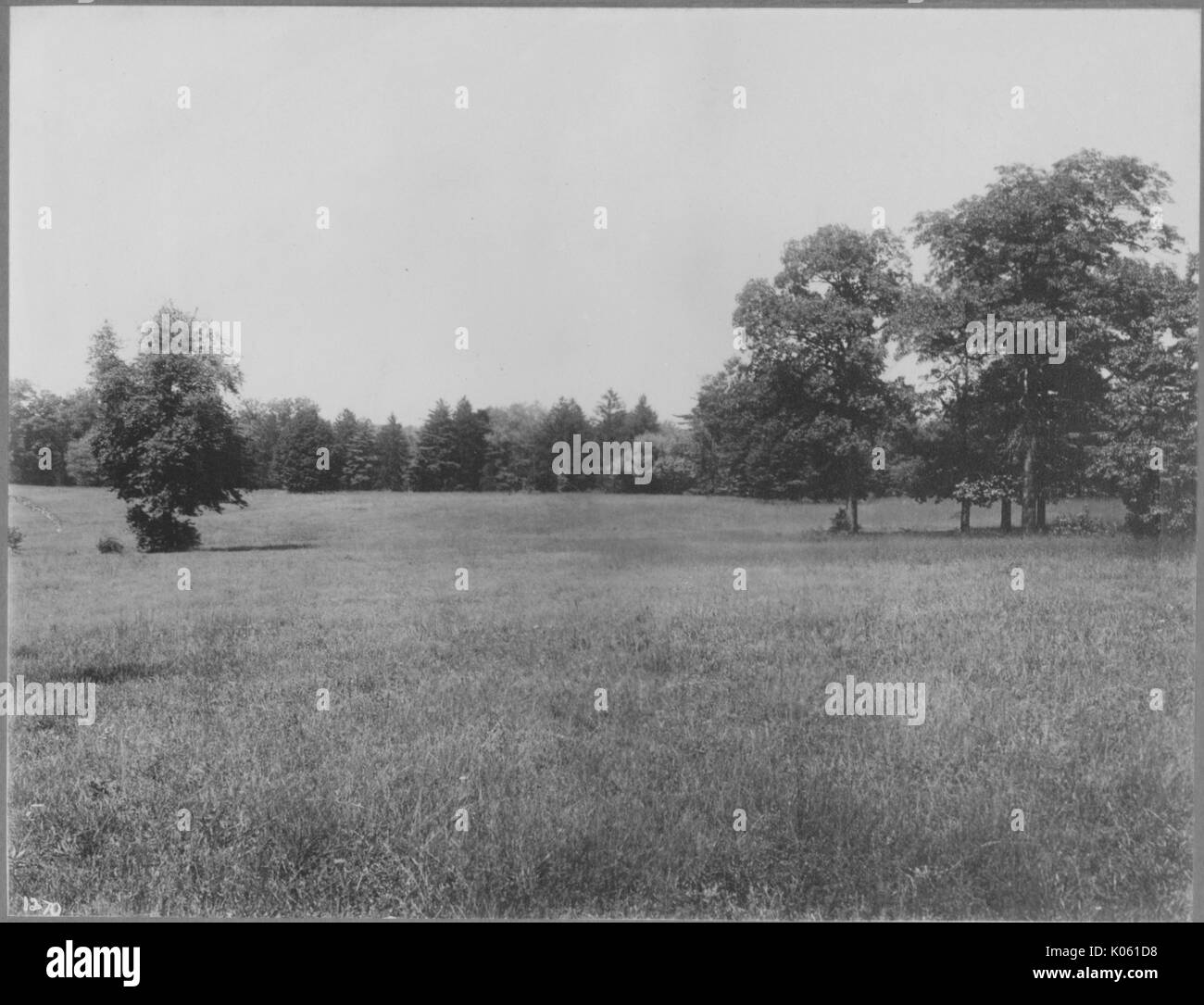 Unbesetztes Land in der Nähe von Roland Park und Guilford, es gibt eine Menge von unbeschnittenen Gras und Bäume sind auf dem Rasen verstreut und auch den Hintergrund, die Vereinigten Staaten, 1910. Dieses Bild wird von einer Reihe dokumentieren den Bau und den Verkauf von Wohnungen in der Roland Park/Guilford Nachbarschaft von Baltimore, einer Straßenbahn Vorort und eines der ersten geplanten Gemeinschaften in den Vereinigten Staaten. Stockfoto