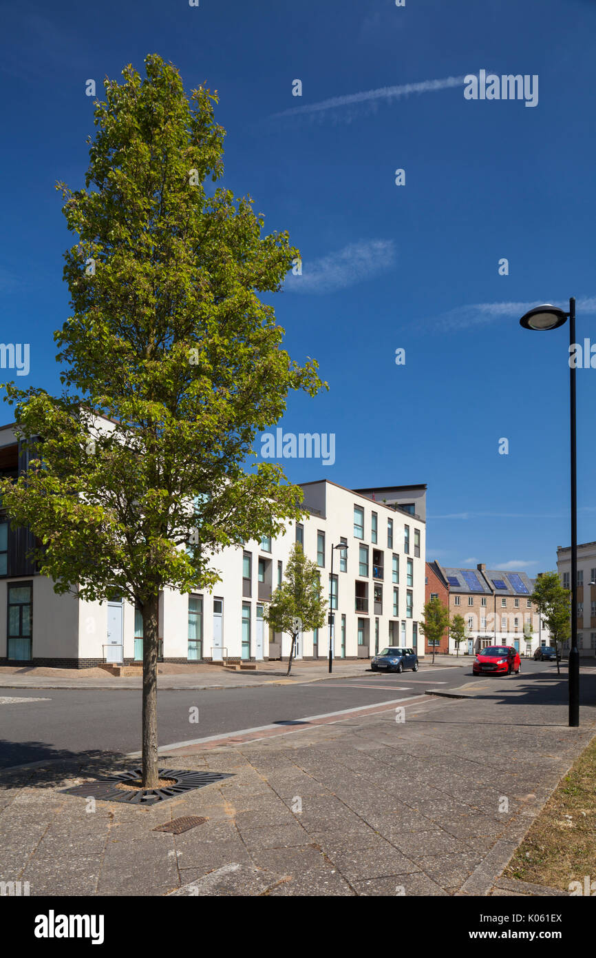 Die sehr abwechslungsreichen architektonischen Stile von Häusern und Wohnungen, die ein Teil der Eco-design Entwicklung am Upton ein Vorort von Northampton, England, Großbritannien Stockfoto