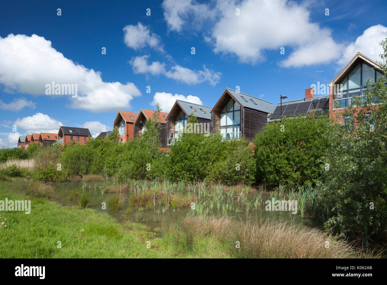 Moderne Vorstadthäuser mit Blick auf den Park mit einem Feuchtgebiet im Vordergrund, das für überschüssiges Regenwasser ausgelegt ist - SUD System, Northampton, England. Stockfoto