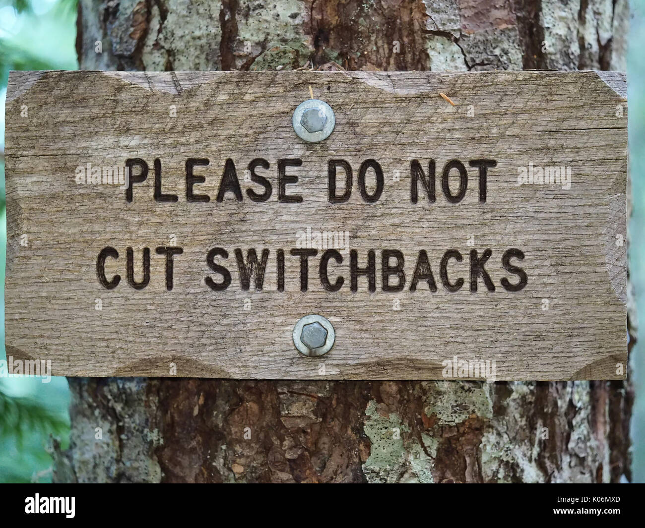 'Bitte nicht Serpentinen' Schild an einem Baum auf einem Trail in Mt. Baker-Snoqualmie National Forest, Washington State, USA Stockfoto