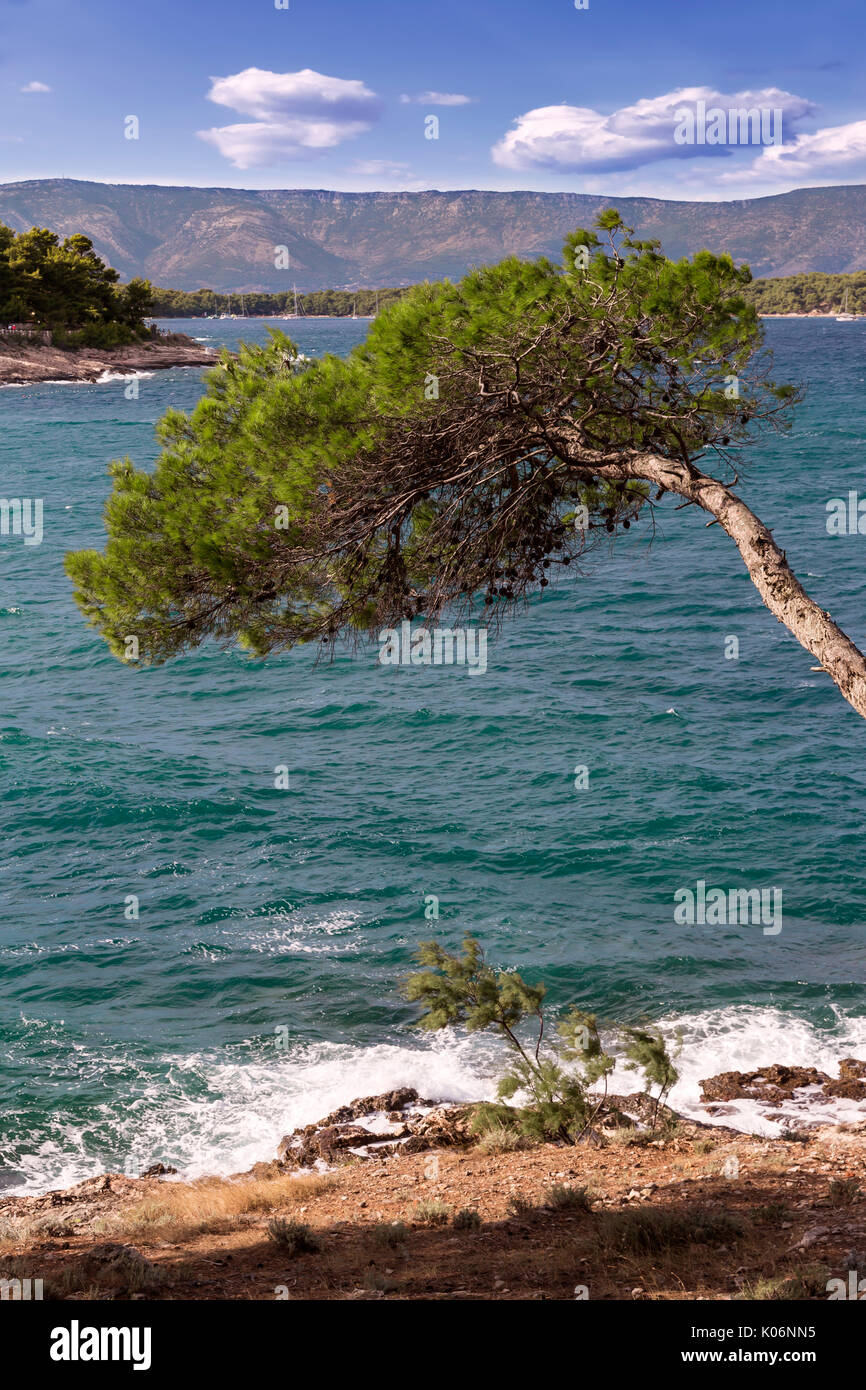 Sehenswürdigkeiten in Kroatien. Insel Hvar mit wunderschönen Landschaften. Hafen von Stari Grad. Kroatische Paradies. Stockfoto