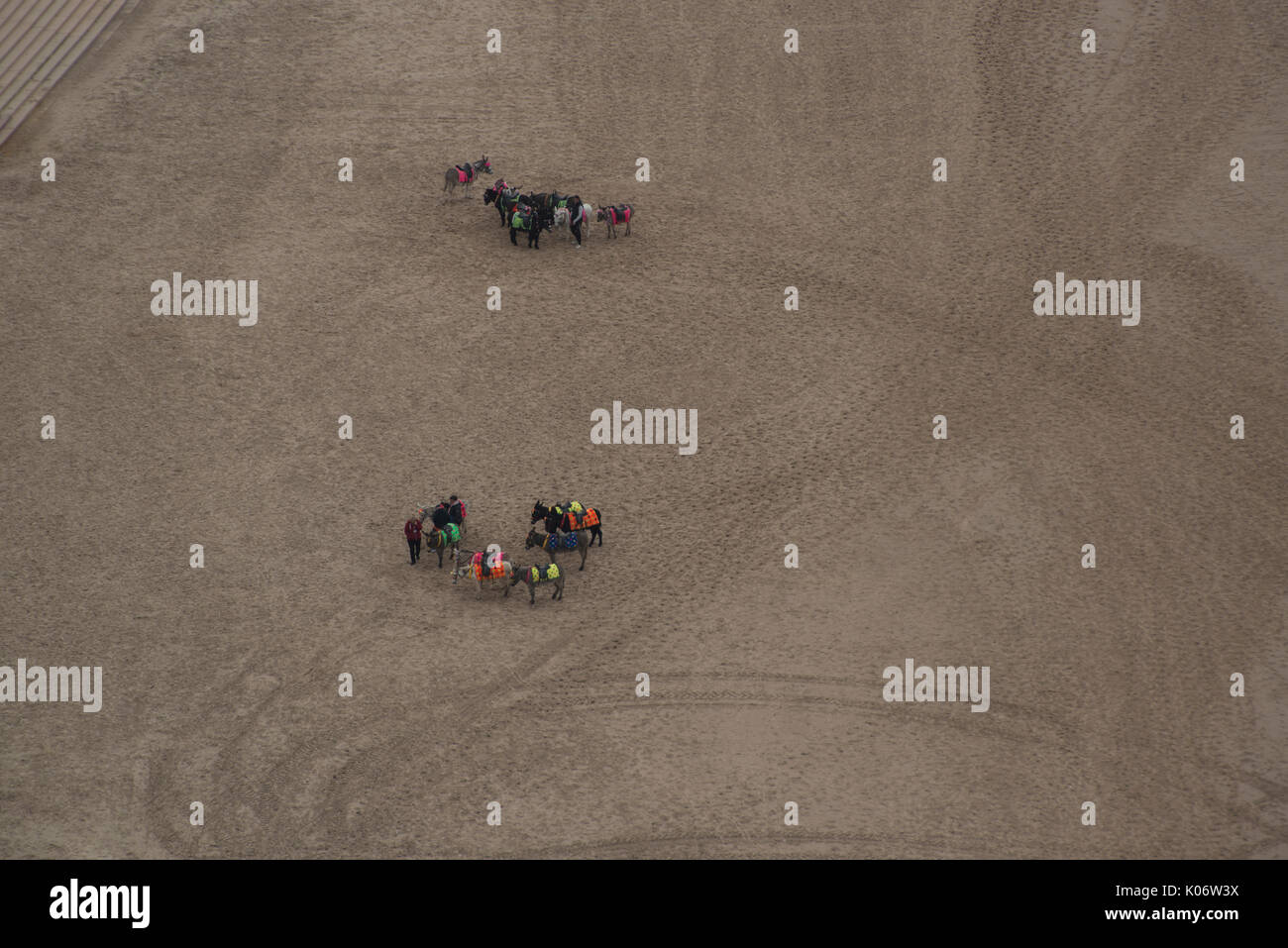 Strand von Blackpool Esel, Touristen warten. Eine beliebte Attraktion. Credit: LEE RAMSDEN/ALAMY Stockfoto