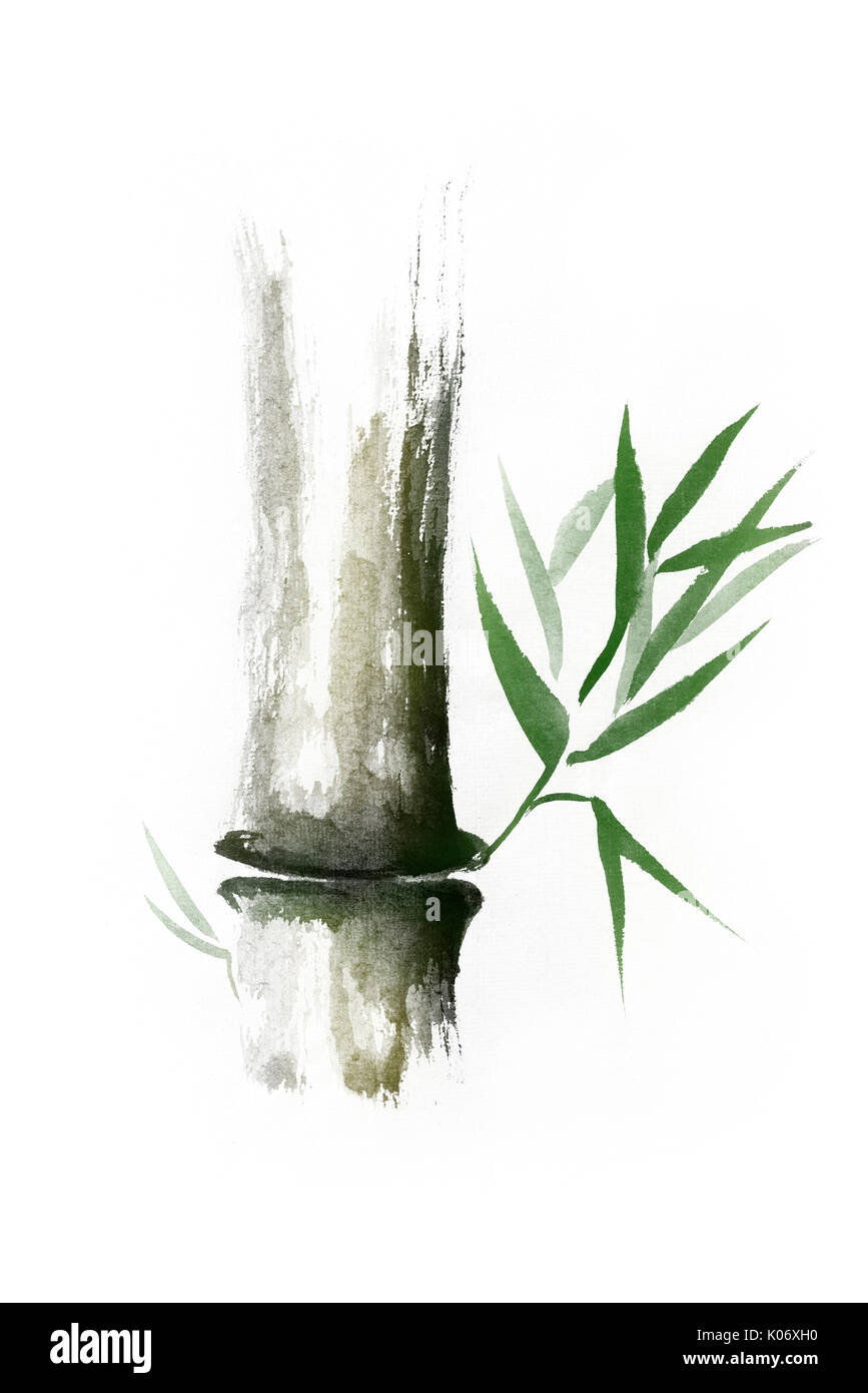 Führerschein verfügbar unter MaximImages.com - wunderschönes Zen-Gemälde aus Bambusstiel mit grünen Blättern. Sumi-e Chinesische japanische schwarze Tinte Illustration Isolat Stockfoto