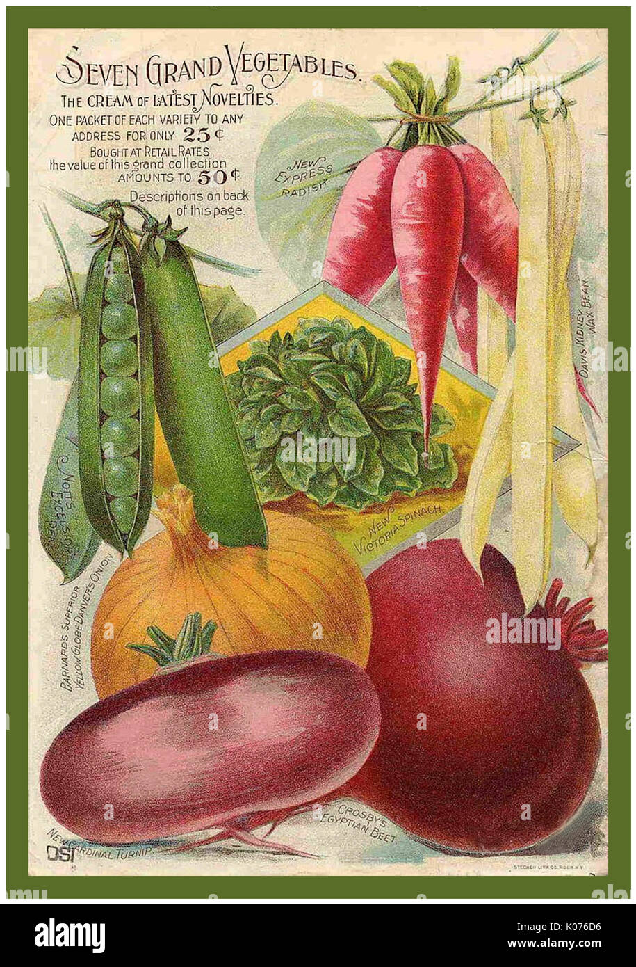 Jahrgang 1800 Samen Paket Poster Werbung. Barnard sieben Grand Gemüse Erbsen, Radieschen, Rüben, Zwiebeln Vintage Blumen Obst & Gemüse Saatgutpackungen Katalog Werbung Art Poster. Stockfoto