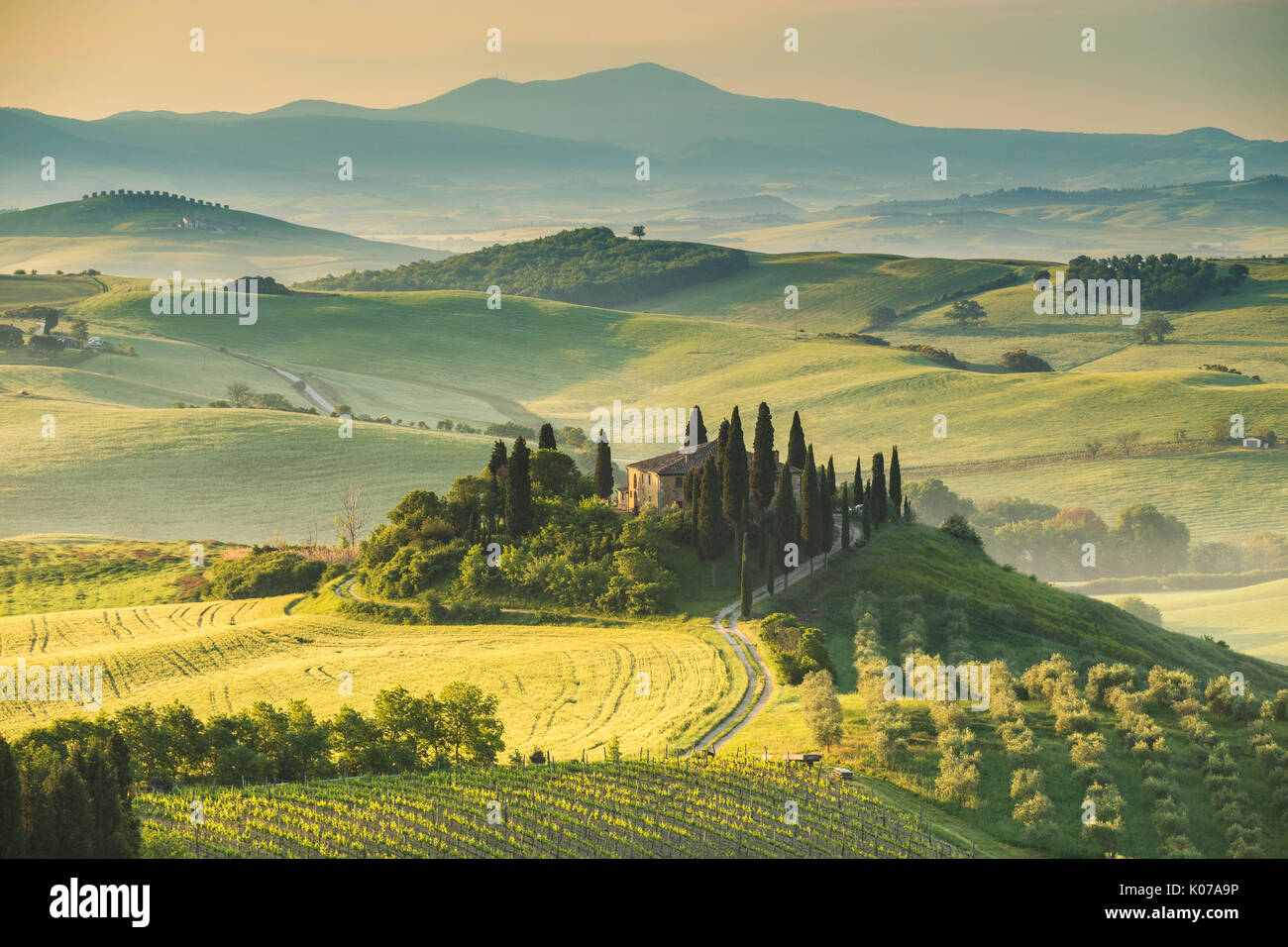 Podere Belvedere, San Quirico d ' Orcia, Val d ' Orcia, Toskana, Italien Stockfoto