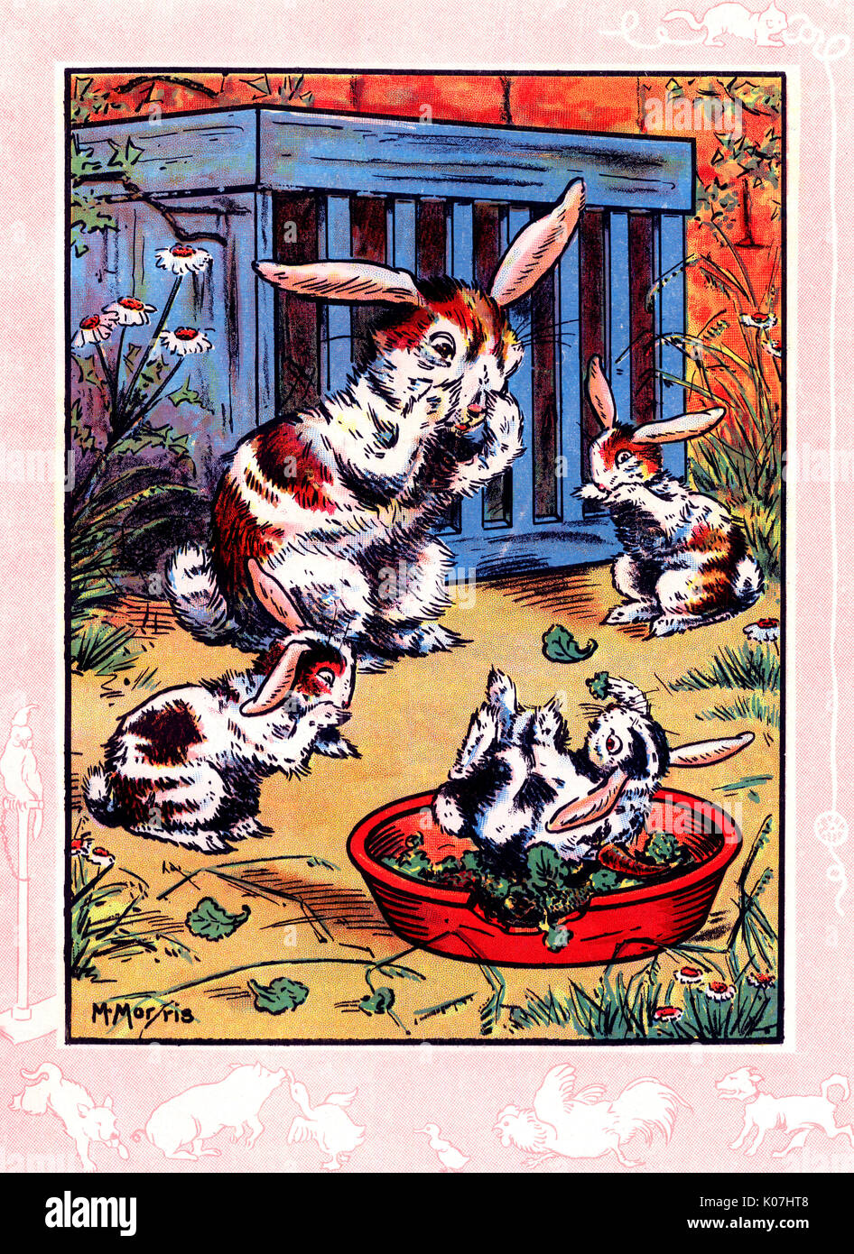 Elsies Häschen Stockfoto