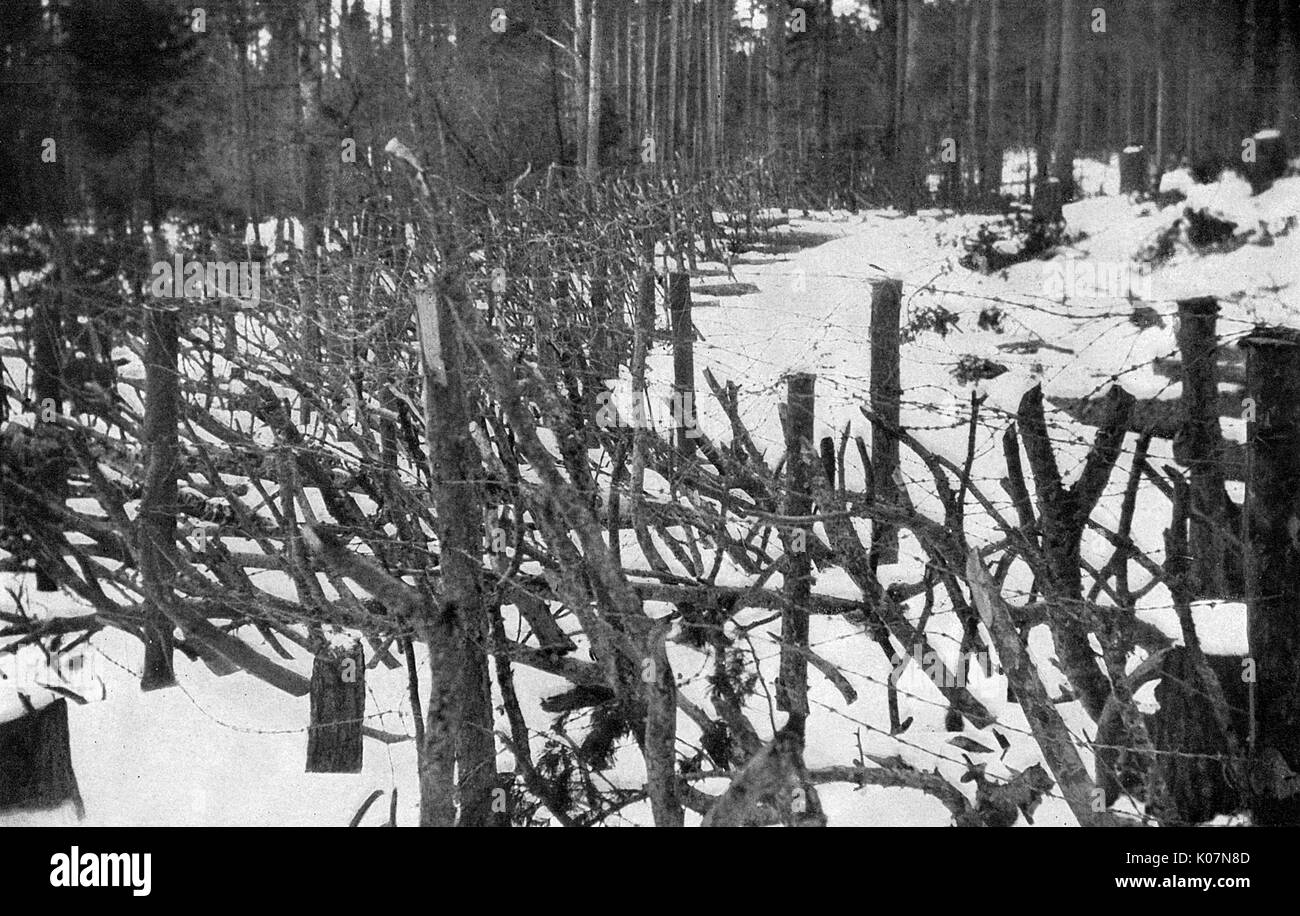 Spitzpflöcke der Ostfront, Russland, WW1 Stockfoto