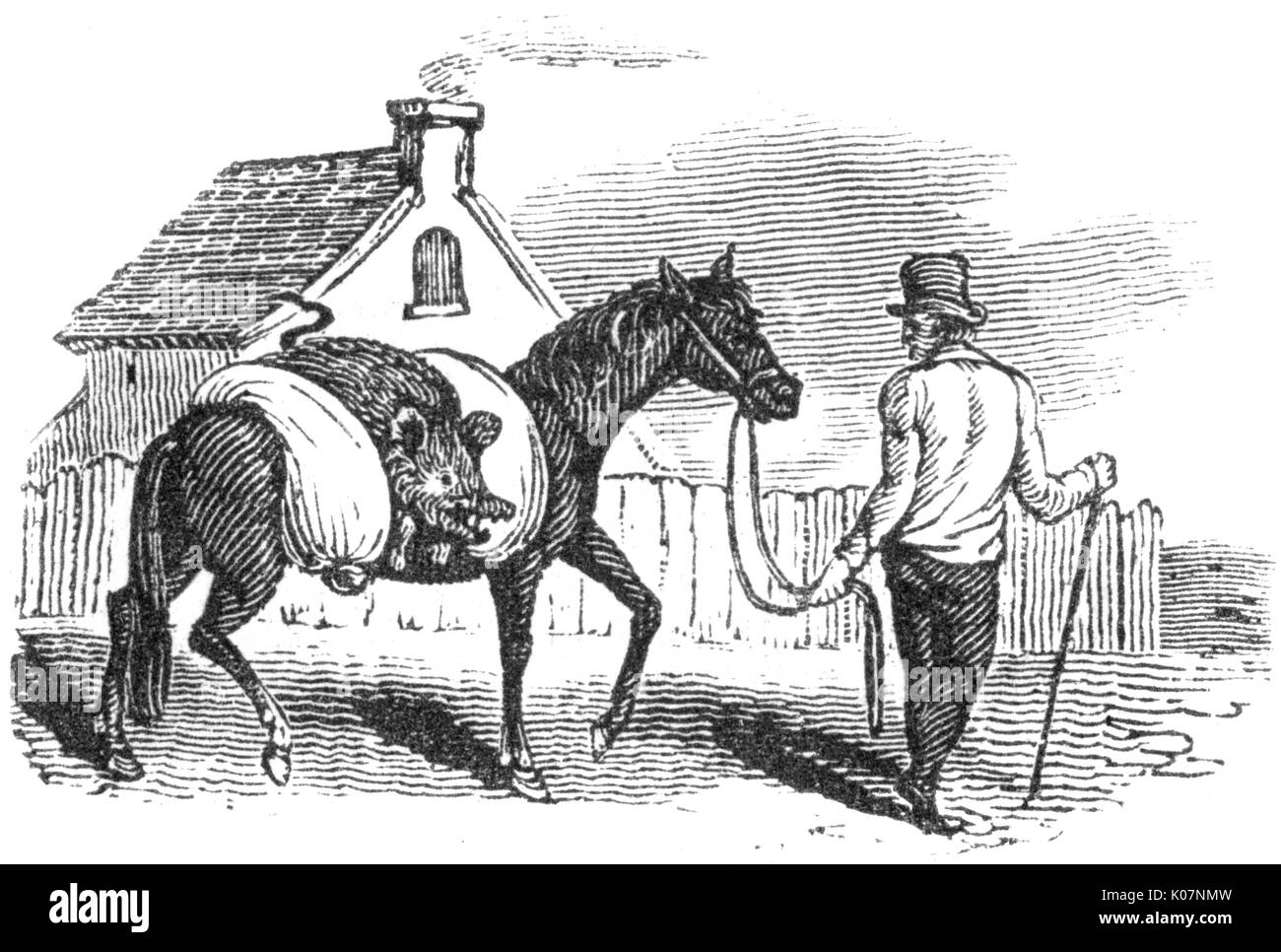 Mann mit Pferd und totem Schwein, ca.1800 Stockfoto