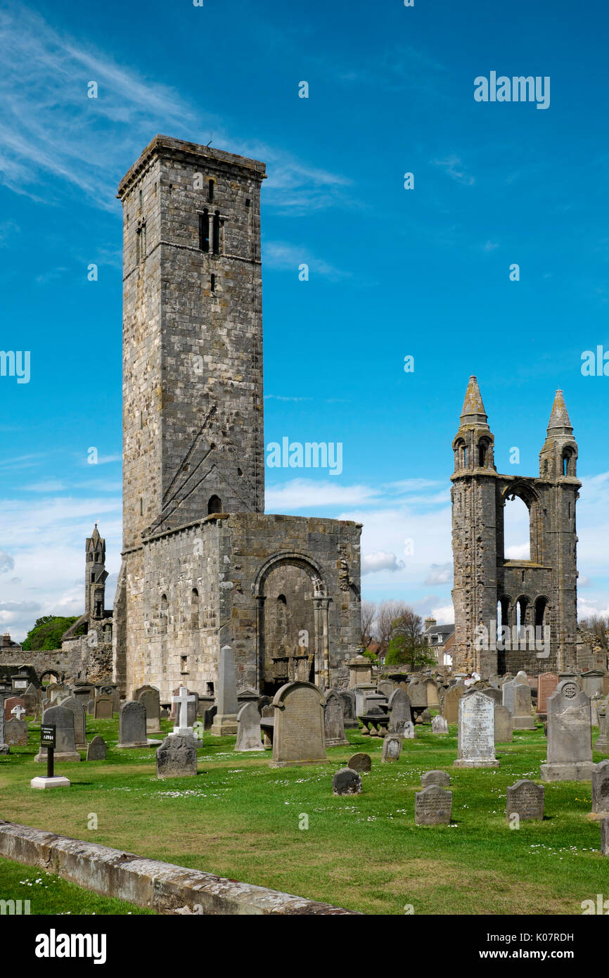 Die ST-Regel Turm und die Ruinen der St. Andrews Cathedral, St Andrews, Fife, Schottland, Großbritannien Stockfoto
