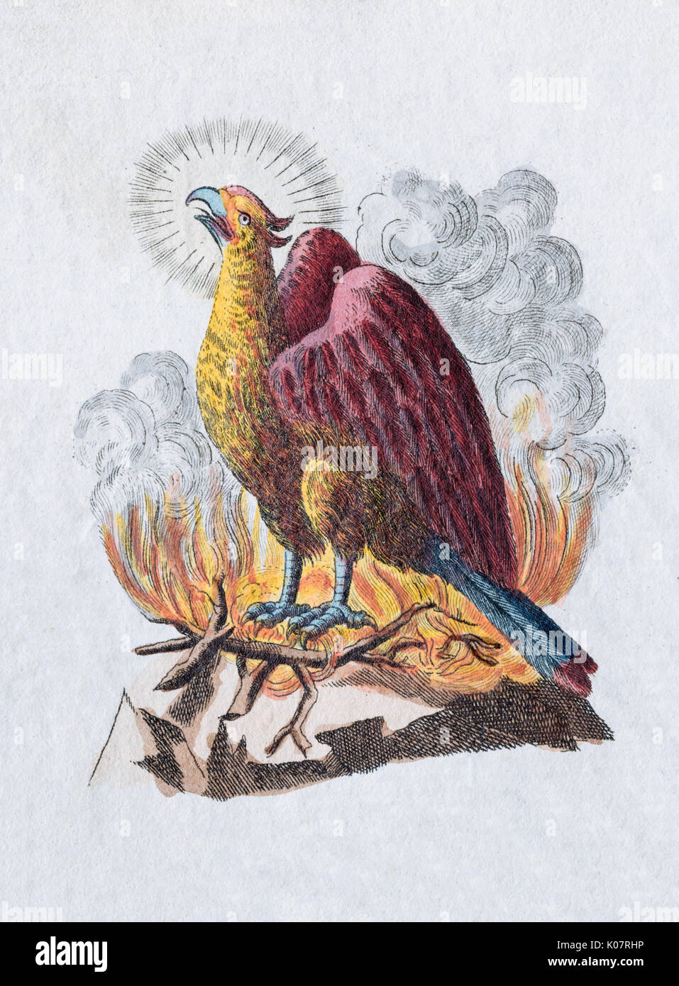 Phoenix, handcolorierte Kupferstich aus Bilderbuch für Kinder von Friedrich Justin Bertuch, Weimar, 1792. Stockfoto