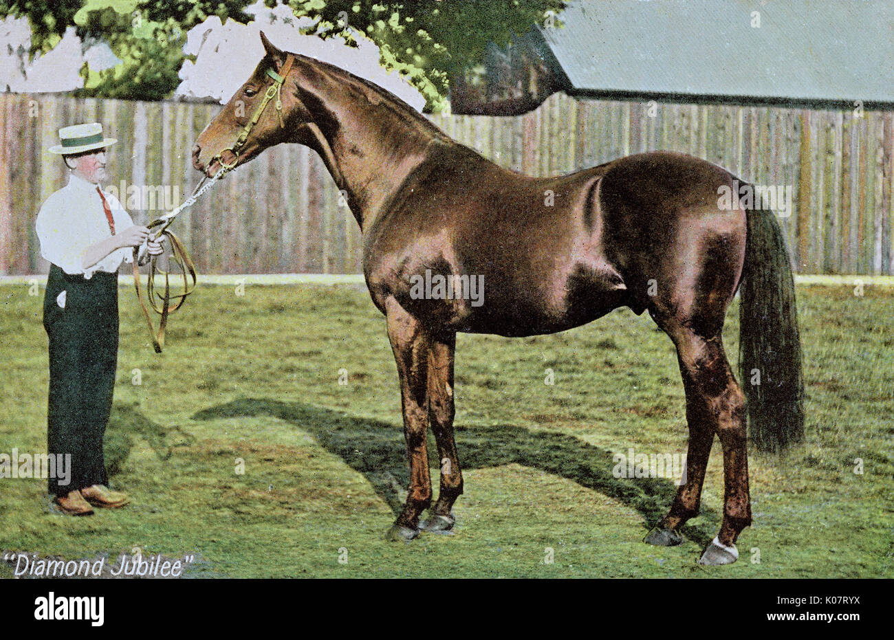 Diamond Jubilee (1897-1923), Meister Rennpferd, Besitz des Prinzen von Wales, hier mit einem Bräutigam gesehen. Datum: 1900 Stockfoto