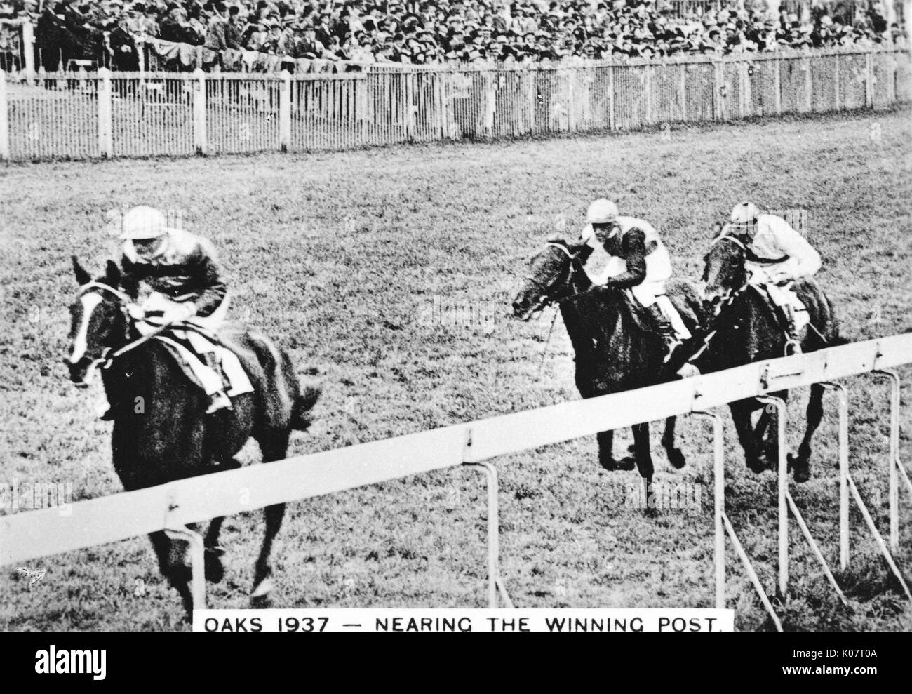 Pferde in der Nähe der Winning Post, Epsom Oaks, einschließlich den Sieger, Exhibitionist. Datum: 1937 Stockfoto