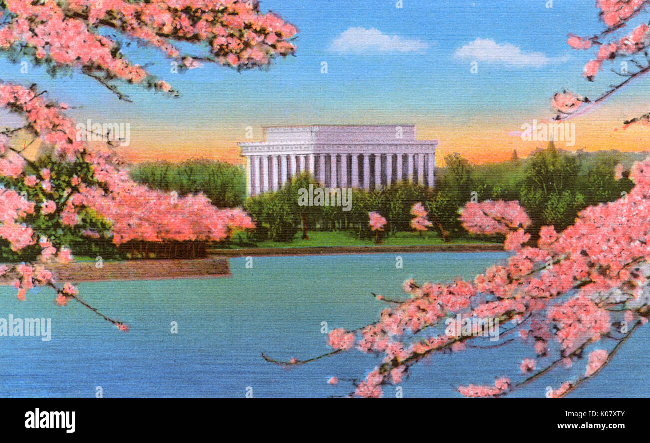 Washington DC, USA – Lincoln Memorial und Kirschblüten Stockfoto
