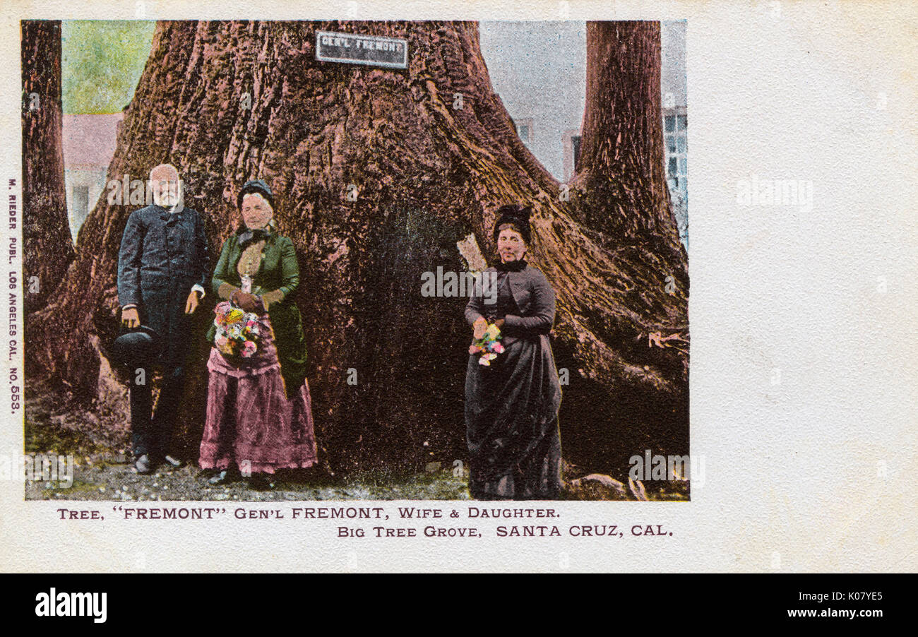 General Fremont und Tree, Santa Cruz, Kalifornien, USA Stockfoto