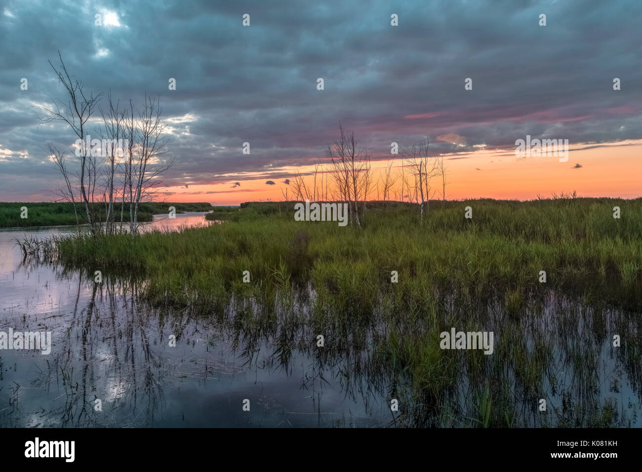 Wasserkocher, Lake Huron, Ontario, Kanada, Nordamerika Stockfoto