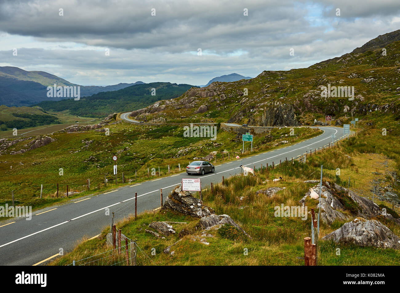 Molls Gap am Ring of Kerry Route im County Kerry, Irland, ist eine Lücke in der kargen Landschaft, in der sich die Straße durch die Kenmare fällt. Stockfoto
