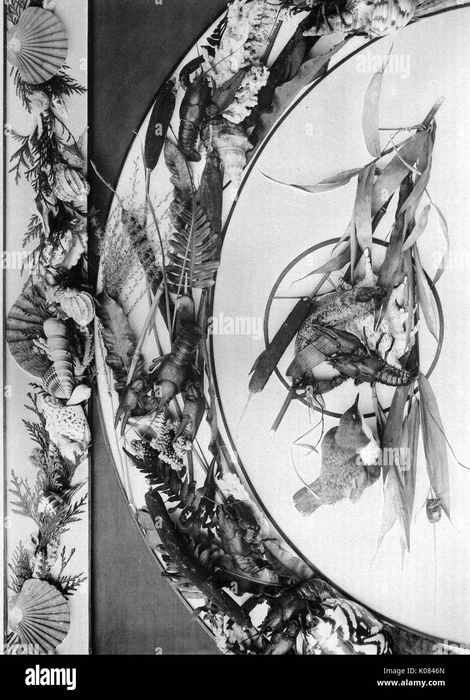 Vielzahl von Blätter und Pflanzen mit Muscheln und Hummer, Vogel auf der Seite des Design, 1900. Stockfoto