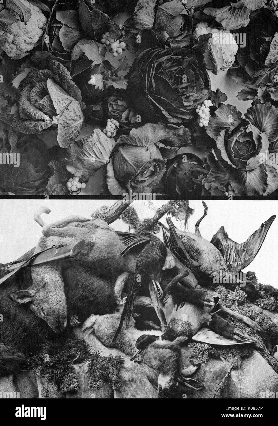 Design aus zwei gegensätzlichen Bilder, Bild oben mit Gemüse wie Blumenkohl und Salat, während unten Bild hat Tierkörpern wie ein Schaf und Ziege, 1900. Stockfoto