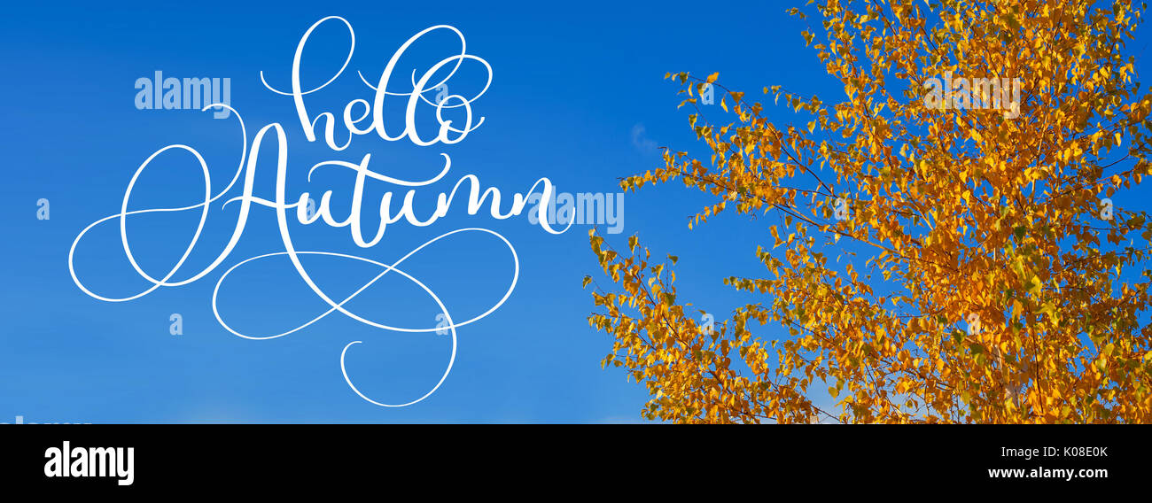Hallo Herbst Kalligraphie schrift Text auf gelbe Blätter auf Bäume im Herbst gegen den blauen Himmel Stockfoto